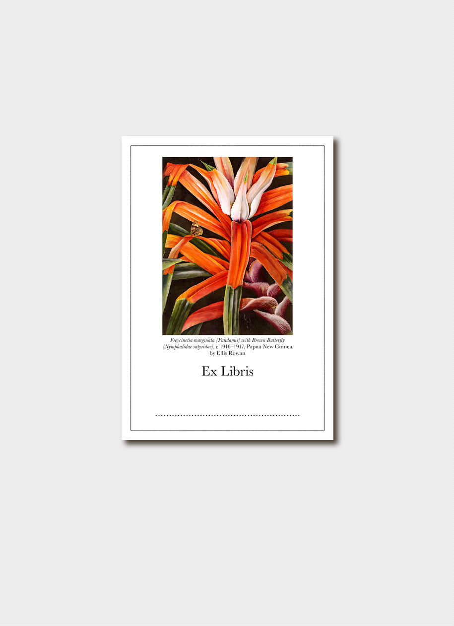 Ellis Rowan Australian Flora Bookplates