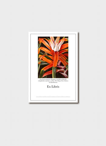 Ellis Rowan Australian Flora Bookplates