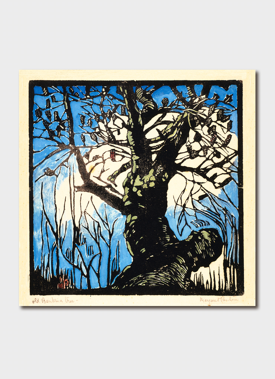 Margaret Preston - The Banksia Tree