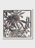 Margaret Preston Art Card - Tea-Tree and Hakea Petiolaris