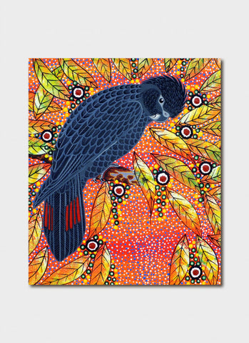Oral James Roberts - Red Tailed Black Cockatoo