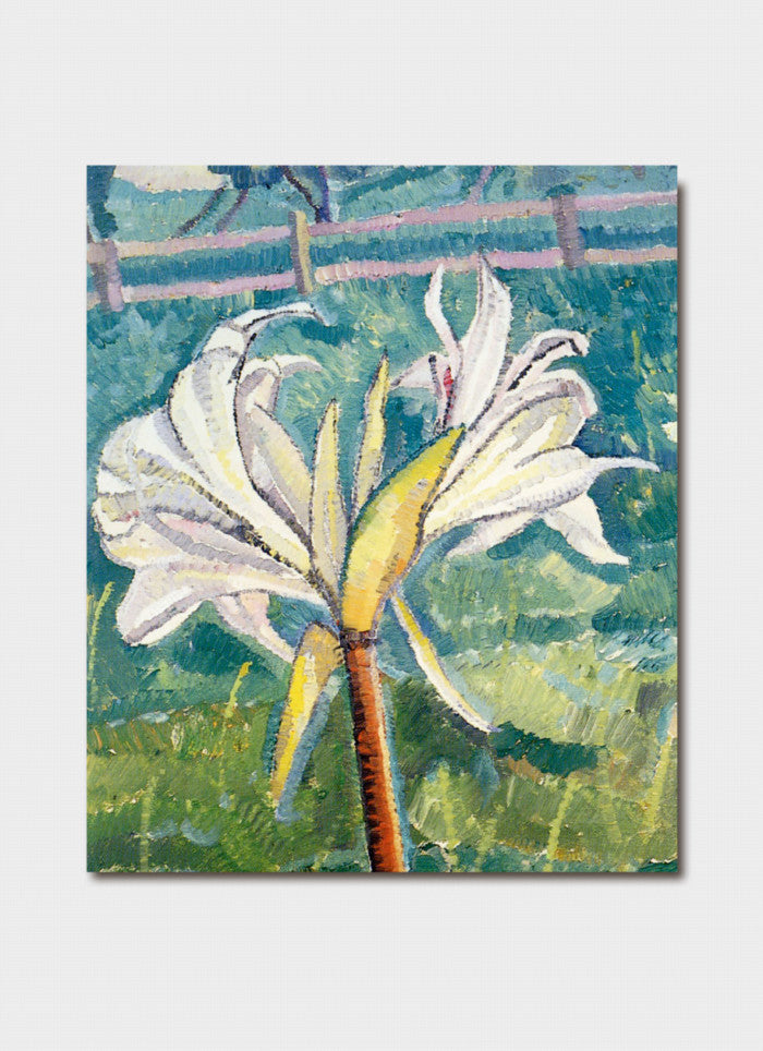 Grace Cossington Smith - Lily Growing in a Field