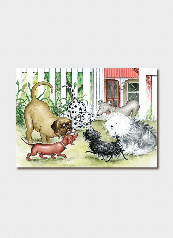 Hairy Maclary and Friends (3414)