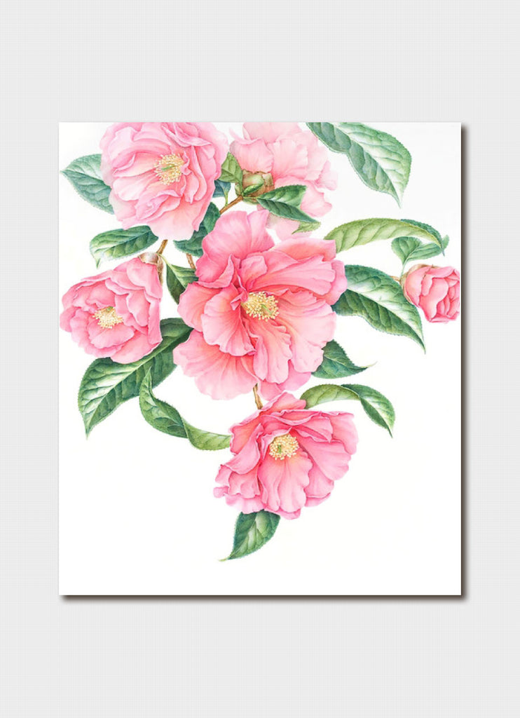 Elaine Musgrave art card - Camellia reticulata