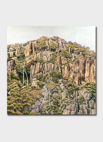 Sandi Rigby Art Card - Escarpment, Tasmania