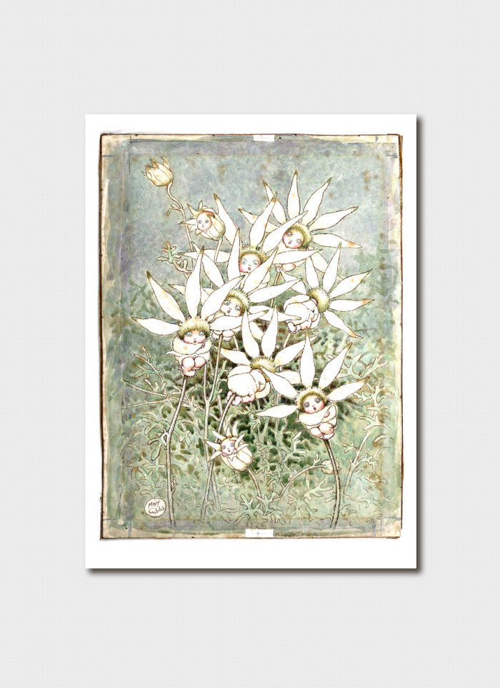 May Gibbs Art Card - 'Flannel Flower Babies' from cover of Flannel Flowers and Other Bush Babies