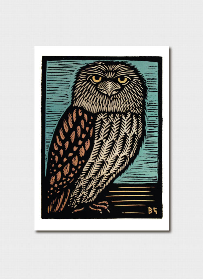 Bruce Goold Art Card - Tawny Frogmouth