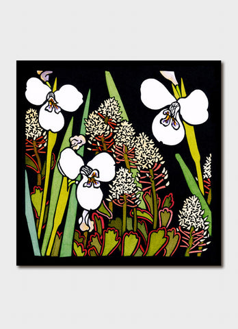 Kit Hiller art card - Native Iris and Mountain Rocket