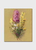 Ellis Rowan - Rose Cone Flower