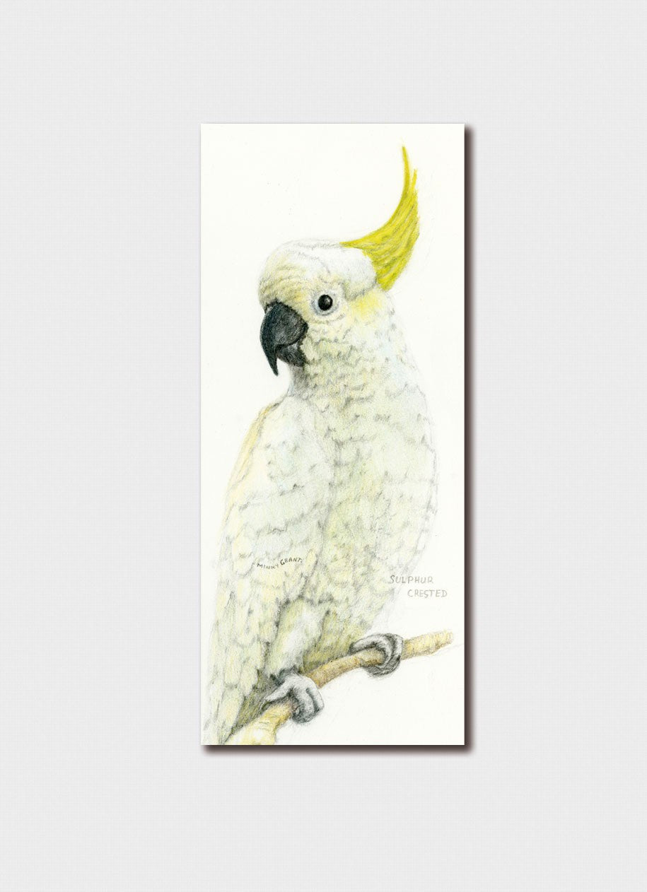 Minky Grant Bookmark - Sulpher Crested Cockatoo