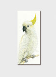Minky Grant Bookmark - Sulpher Crested Cockatoo