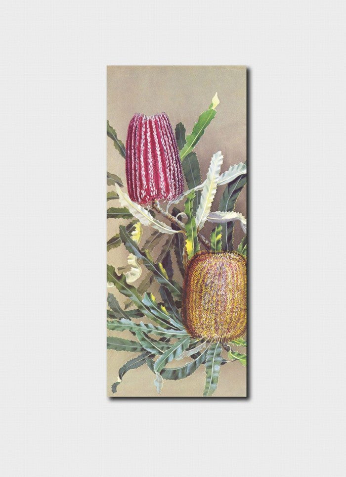 Ellis Rowan Menzies Banksia Bookmark