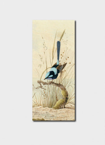 Australian Birds - Blue Wren Bookmark