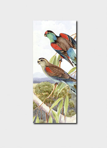 Australian Birds - Paradise Parrakeet Bookmark