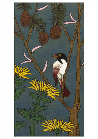 C J Hurley: Birds Boxed Notecards