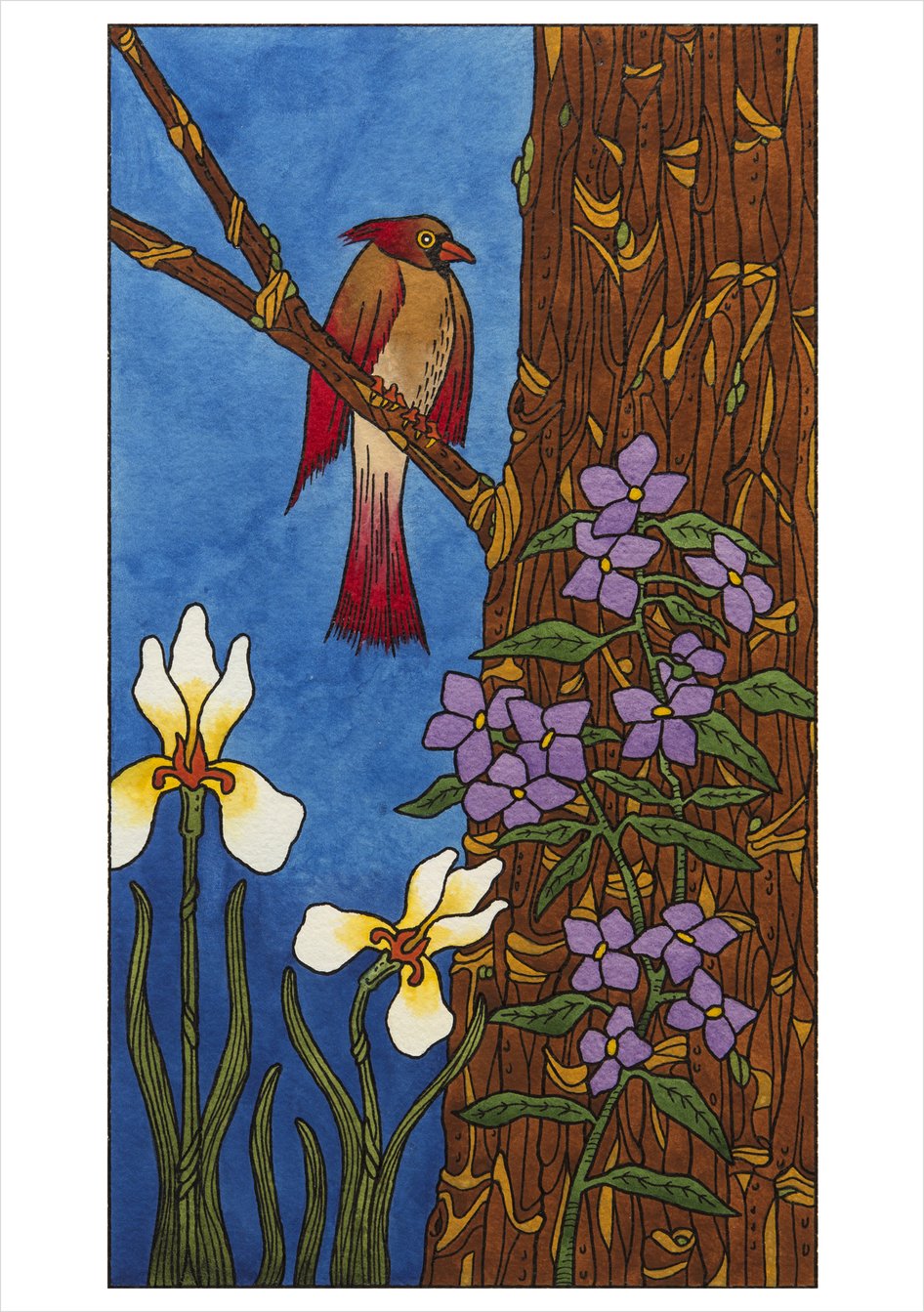 C J Hurley: Birds Boxed Notecards