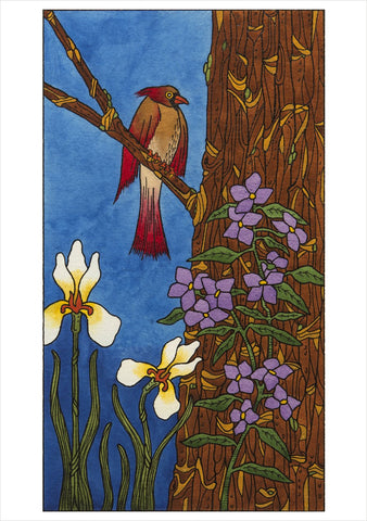 C J Hurley: Birds Boxed Notecards