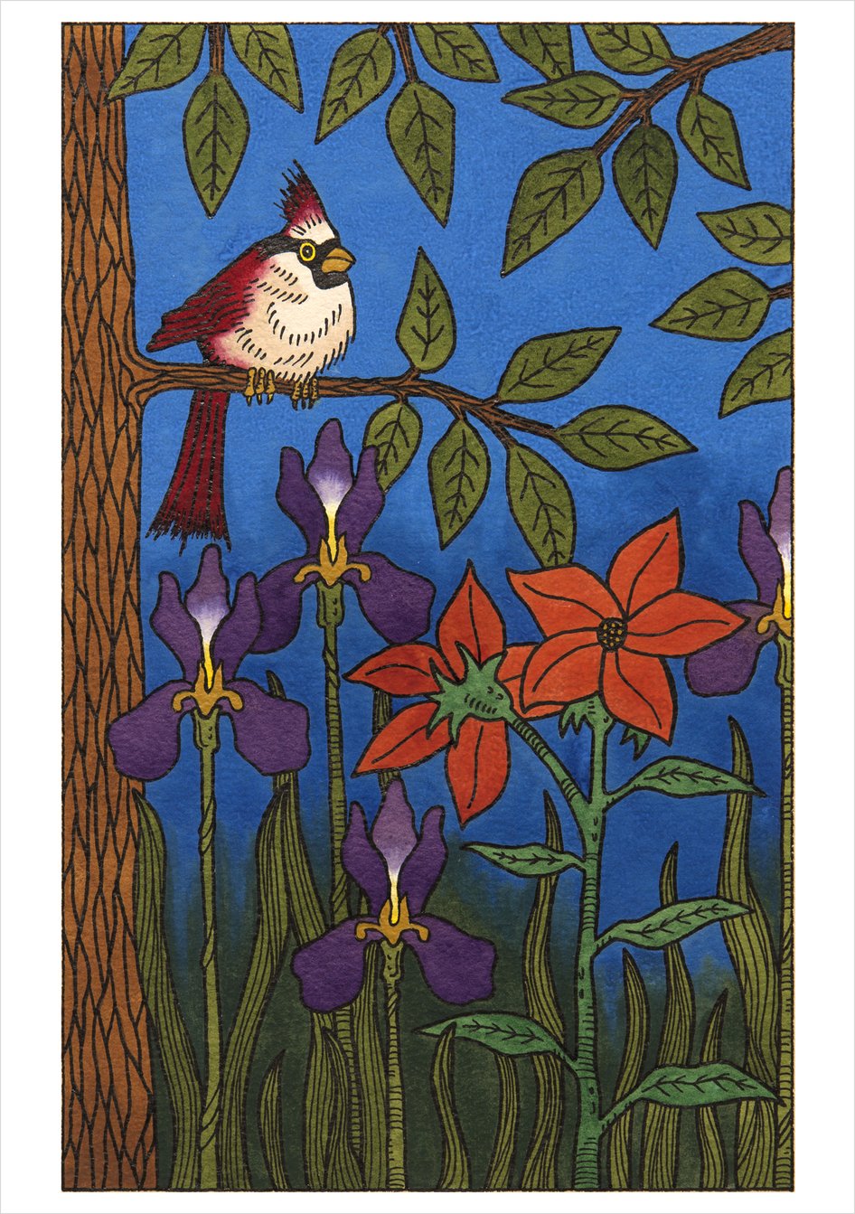 C J Hurley: Birds Boxed Notecards