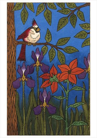 C J Hurley: Birds Boxed Notecards