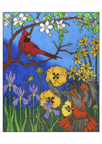 C J Hurley: Birds Boxed Notecards