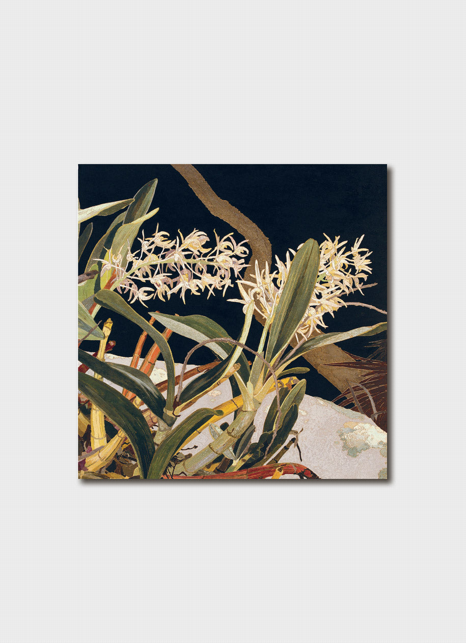 Cressida Campbell Card Pack - Bush (series 1)