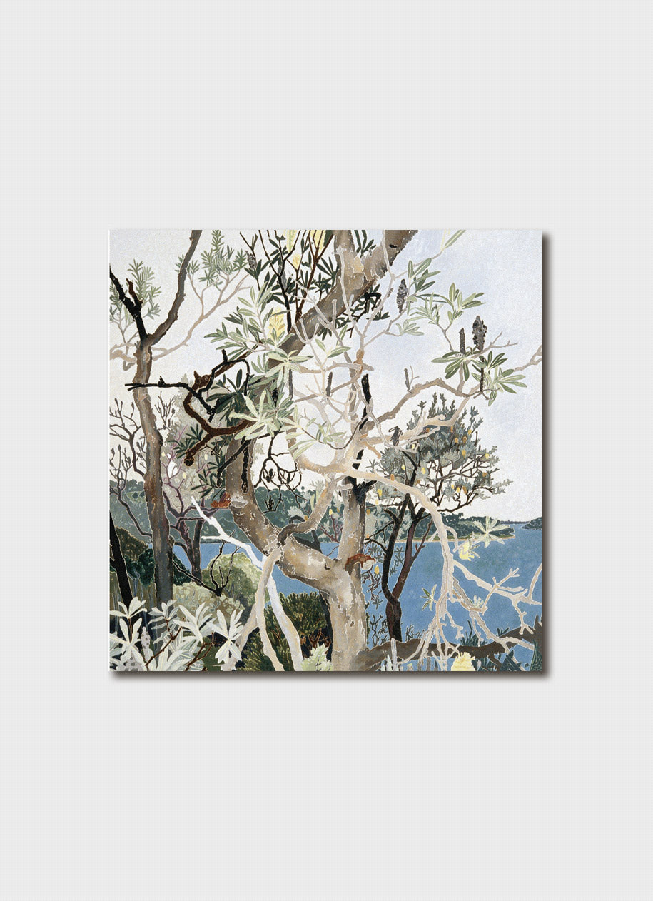 Cressida Campbell Card Pack - Bush (series 1)