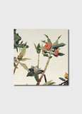Cressida Campbell Card Pack - Bush (series 1)