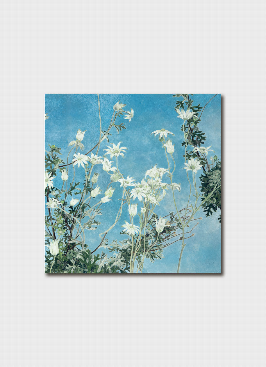 Cressida Campbell Card Pack - Bush (series 1)