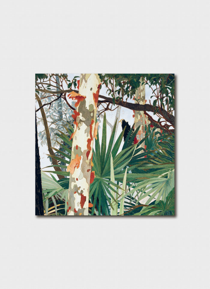 Cressida Campbell - Peeling Bark