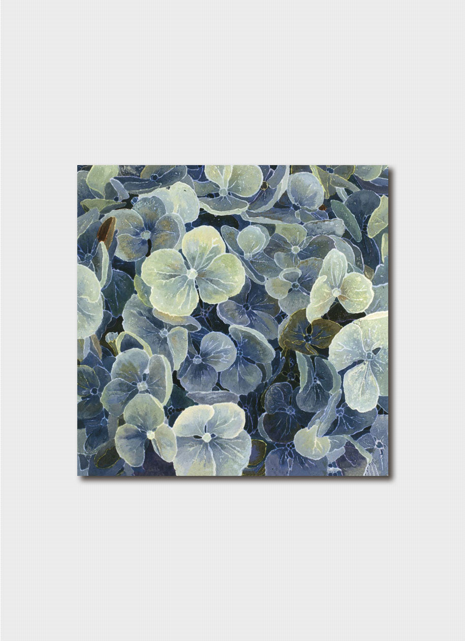 Cressida Campbell Card Pack - Petals and Leaves