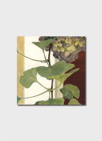 Cressida Campbell Card Pack - Petals and Leaves