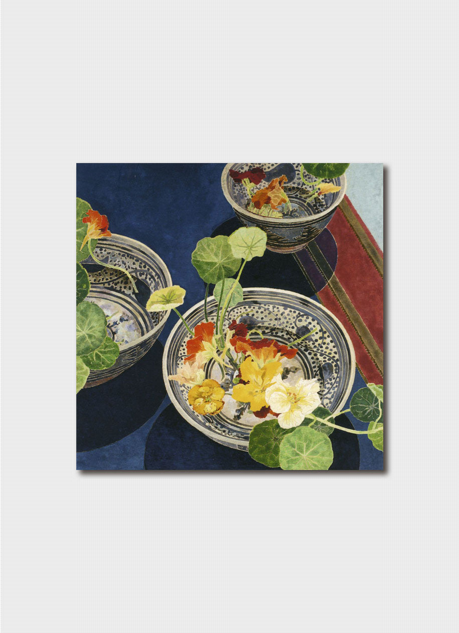 Cressida Campbell Card Pack - Objects and Plants