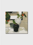 Cressida Campbell Card Pack - Objects and Plants