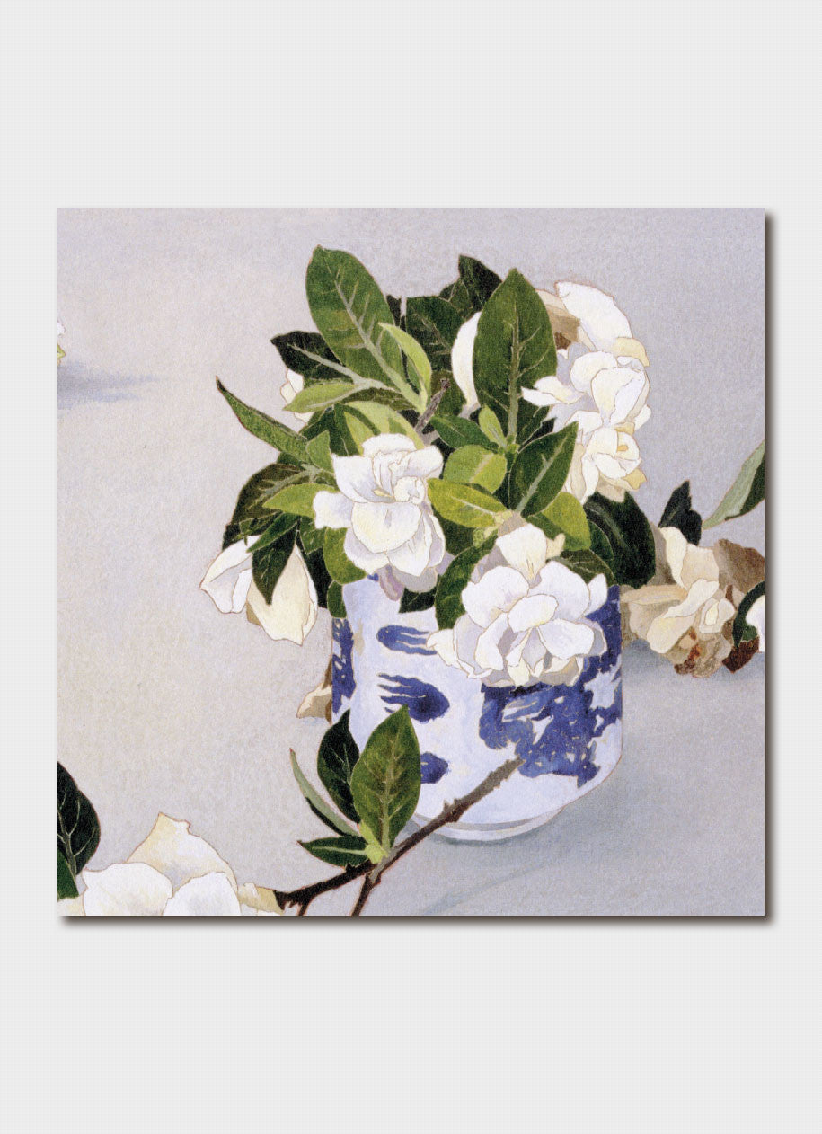 Cressida Campbell Card Pack - Petals and Leaves