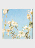 Cressida Campbell Card Pack - Flannel Flowers Night and Day