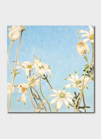 Cressida Campbell Card Pack - Flannel Flowers Night and Day