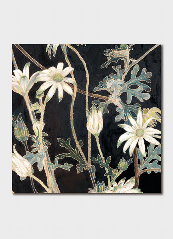 Cressida Campbell Card Pack - Flannel Flowers Night and Day