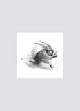 Shaun Tan small art card #55