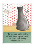 Curly Girl - Owned By a Cat