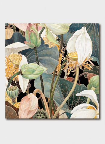 Cressida Campbell art card - Lotus Flowers