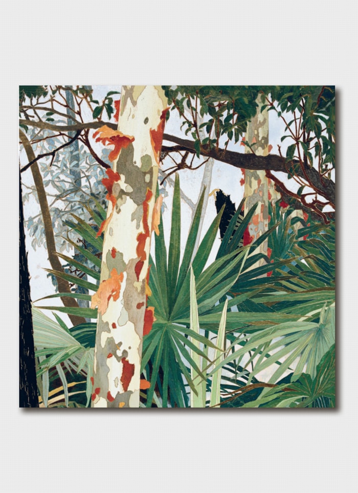 Cressida Campbell - Peeling Bark