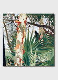 Cressida Campbell - Peeling Bark
