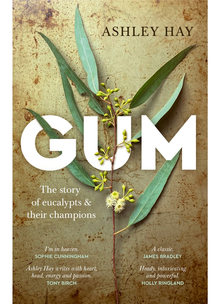 GUM: The Story of Eucalypts & Their Campions By Ashley Hay (PB)