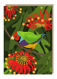Emma Miszalski - Gouldian Finch