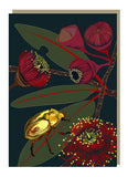 Emma Miszalski - Christmas Beetle