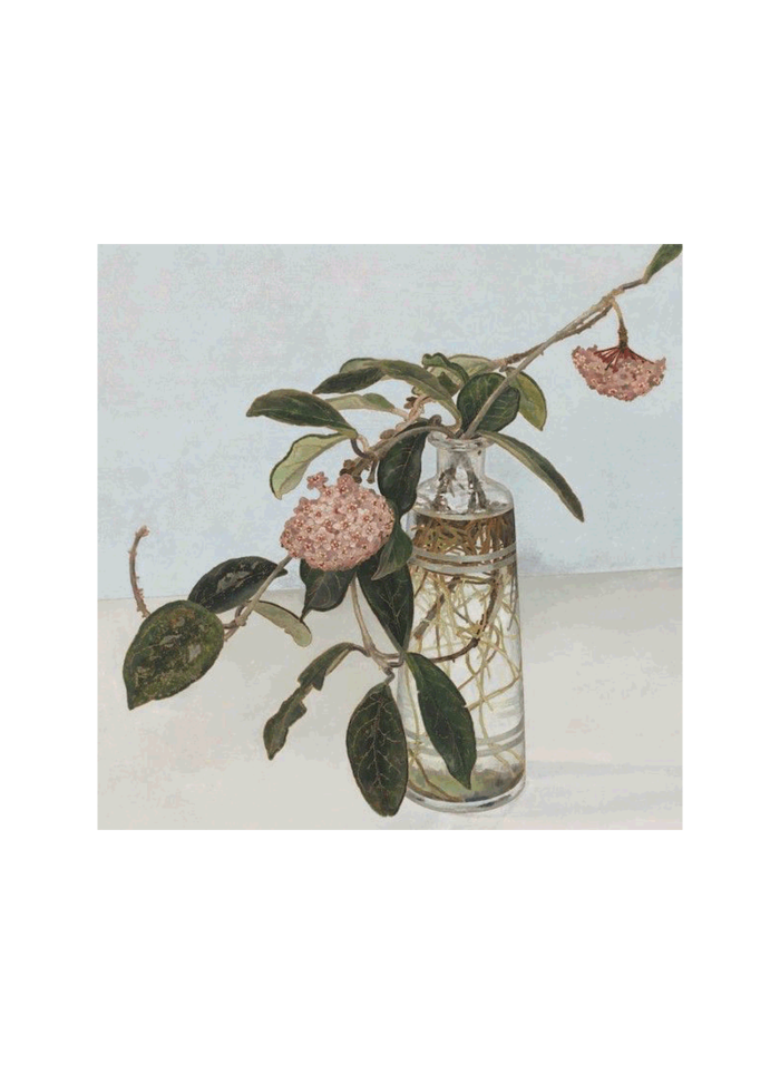 Cressida Campbell Card Pack - Still Life (series 1)