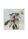 Cressida Campbell Card Pack - Still Life (series 1)