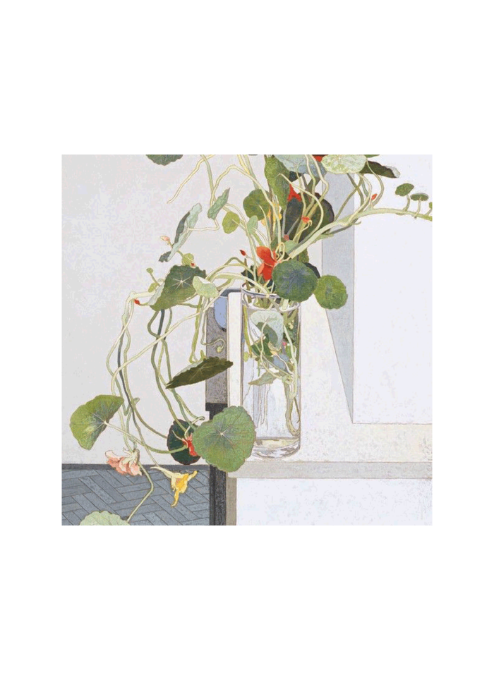 Cressida Campbell Card Pack - Still Life (series 1)