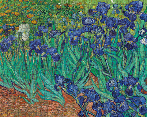 Van Gogh: Irises 1000 Piece Puzzle - completed